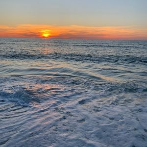 Meet your Posher, Ella